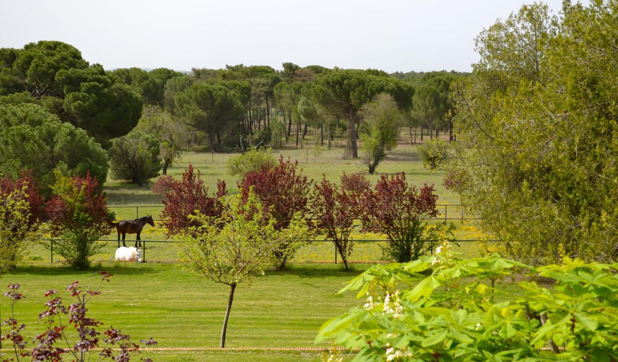 Posada Real Del Pinar Pozal De Gallinas Bagian luar foto